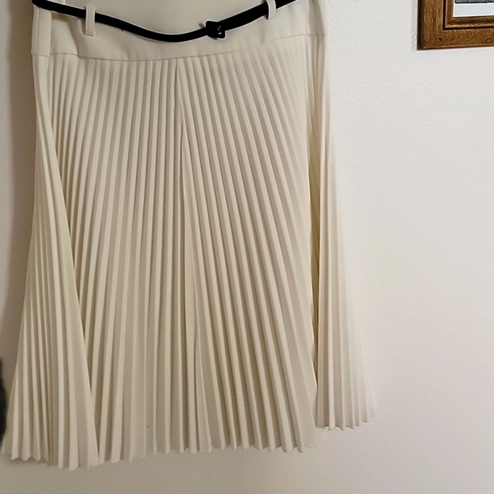 Pleated Skirt with bealt